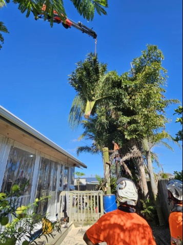 Hiab crane lifting a cut palm crown clear over a house while crew in orange shirts and helmets guide it from the ground